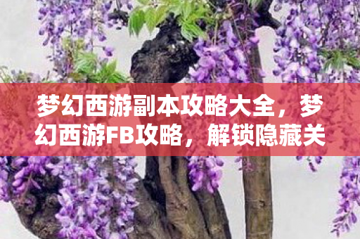 梦幻西游副本攻略大全,梦幻西游FB攻略,解锁隐藏关卡,提升角色实力 梦幻西游副本攻略大全,梦幻西游FB攻略,解锁隐藏关卡,提升角色实力