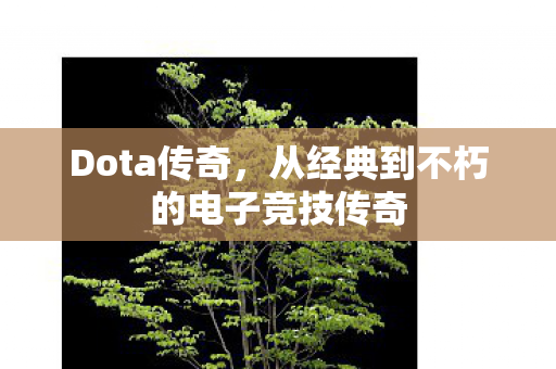 Dota传奇,从经典到不朽的电子竞技传奇 Dota传奇,从经典到不朽的电子竞技传奇