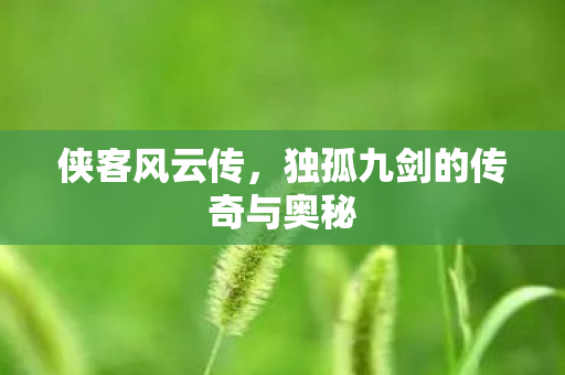 侠客风云传，独孤九剑的传奇与奥秘