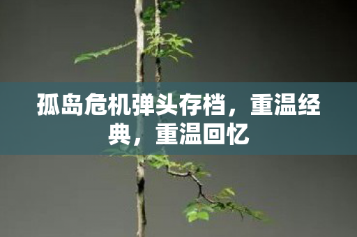 孤岛危机弹头存档,重温经典,重温回忆 孤岛危机弹头存档,重温经典,重温回忆