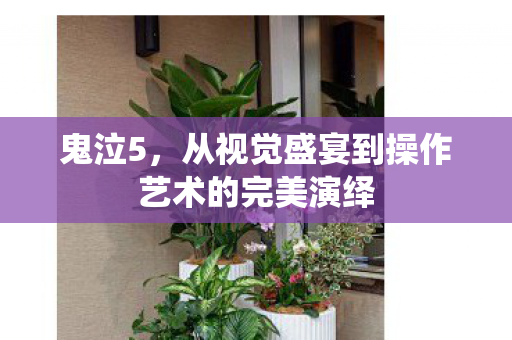 从视觉盛宴到操作艺术的完美演绎图片