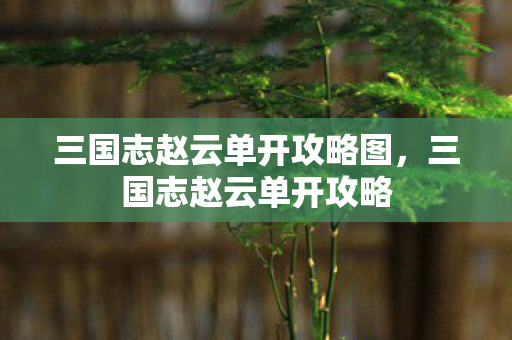 三国志赵云单开攻略图，三国志赵云单开攻略