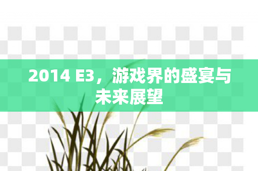 游戏界的盛宴与未来展望图片