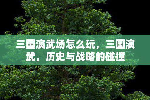 三国演武场怎么玩，三国演武，历史与战略的碰撞