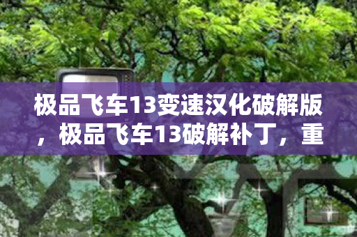 极品飞车13变速汉化破解版，极品飞车13破解补丁，重温经典，无需等待