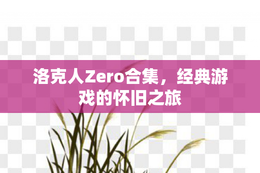 洛克人Zero合集，经典游戏的怀旧之旅