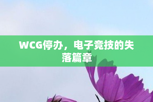WCG停办，电子竞技的失落篇章