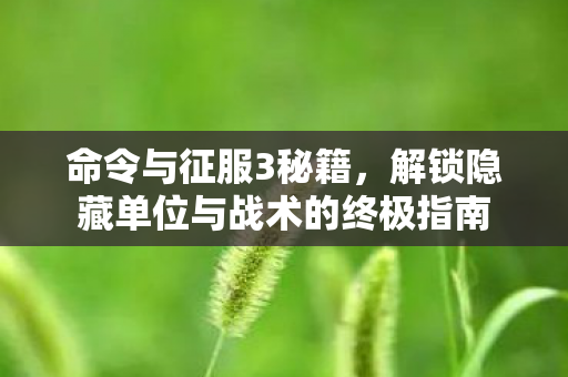 命令与征服3秘籍，解锁隐藏单位与战术的终极指南