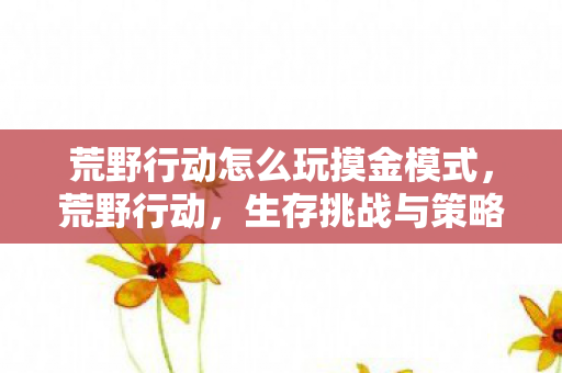 荒野行动怎么玩摸金模式，荒野行动，生存挑战与策略并重的游戏指南