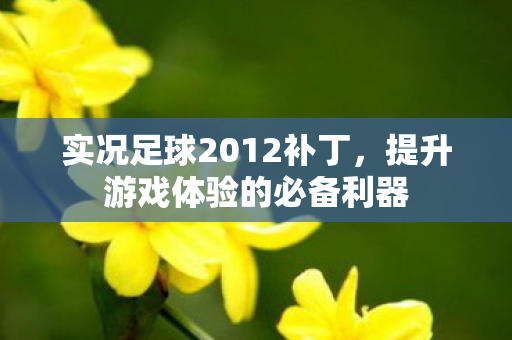 实况足球2012补丁，提升游戏体验的必备利器
