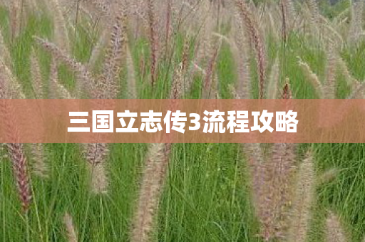 三国立志传3流程攻略