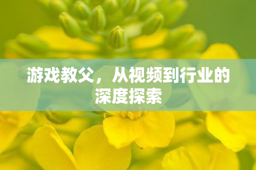游戏教父，从视频到行业的深度探索