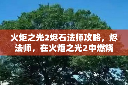 火炬之光2烬石法师攻略，烬法师，在火炬之光2中燃烧智慧的火焰