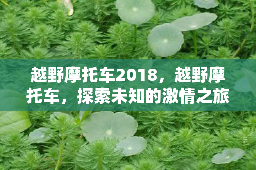 越野摩托车2018，越野摩托车，探索未知的激情之旅