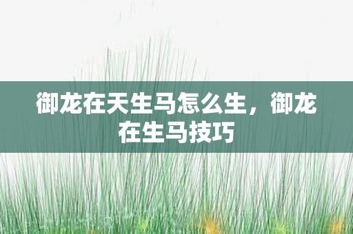 御龙在天生马怎么生，御龙在生马技巧