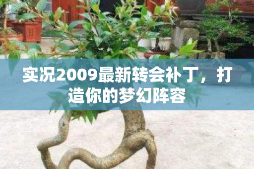 实况2009最新转会补丁，打造你的梦幻阵容