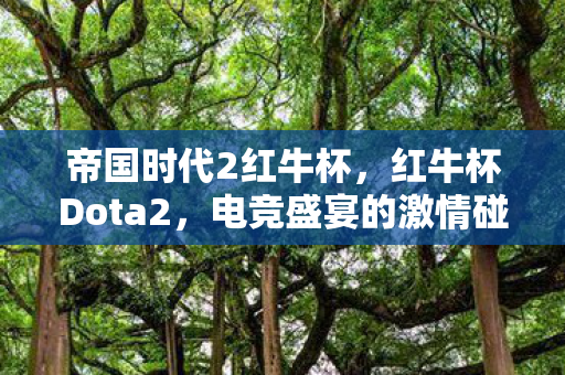 帝国时代2红牛杯，红牛杯Dota2，电竞盛宴的激情碰撞