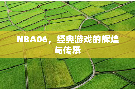 经典游戏的辉煌与传承图片