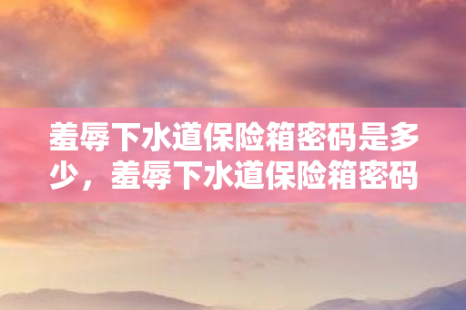羞辱下水道保险箱密码是多少图片