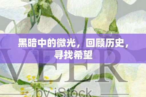 黑暗中的微光，回顾历史，寻找希望