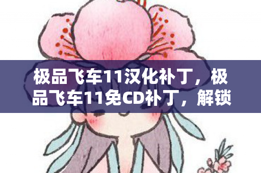 极品飞车11汉化补丁，极品飞车11免CD补丁，解锁速度与激情的必备神器