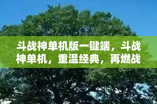 斗战神单机版一键端，斗战神单机，重温经典，再燃战魂