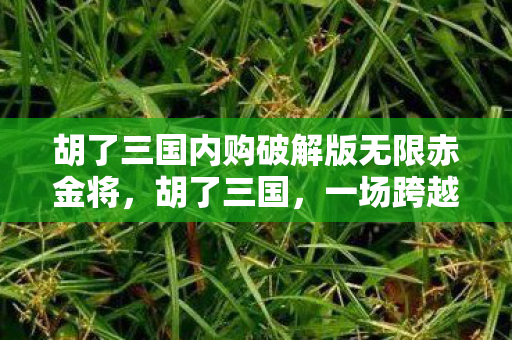 胡了三国内购破解版无限赤金将，胡了三国，一场跨越时空的智谋盛宴