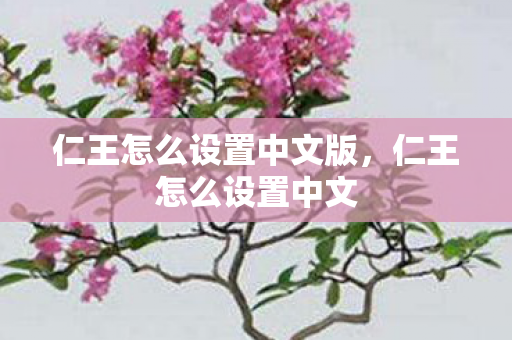 仁王怎么设置中文版，仁王怎么设置中文