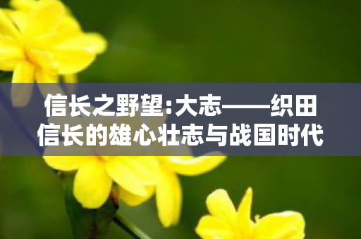 信长之野望:大志——织田信长的雄心壮志与战国时代的风云变幻