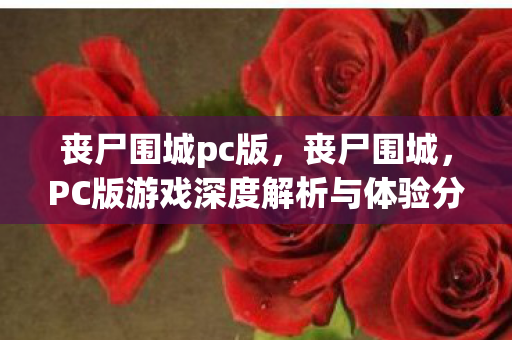 PC版游戏深度解析与体验分享图片