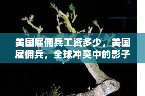 美国雇佣兵工资多少，美国雇佣兵，全球冲突中的影子战士