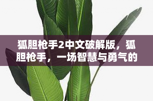 狐胆枪手2中文破解版，狐胆枪手，一场智慧与勇气的传奇冒险