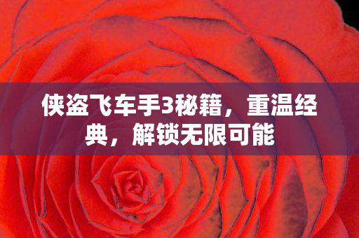 侠盗飞车手3秘籍图片