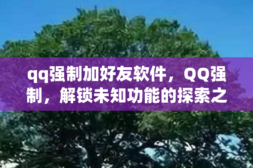 qq强制加好友软件,QQ强制,解锁未知功能的探索之旅 qq强制加好友软件,QQ强制,解锁未知功能的探索之旅
