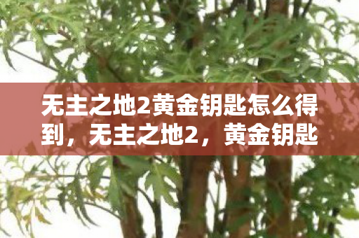 无主之地2黄金钥匙怎么得到图片