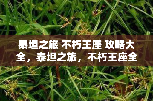 泰坦之旅 不朽王座 攻略大全图片