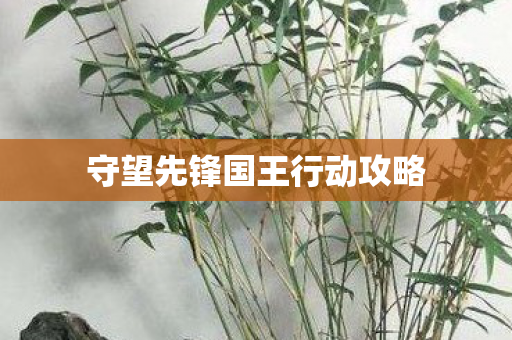 守望先锋国王行动攻略图片