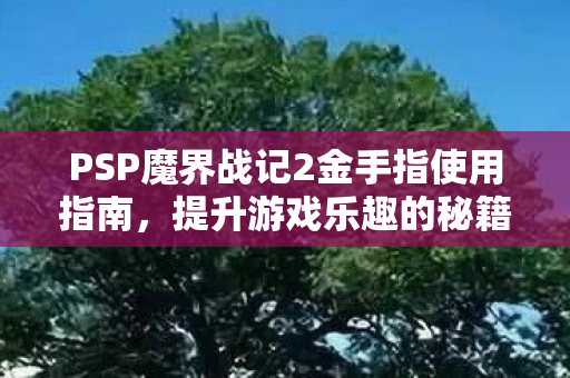 PSP魔界战记2金手指使用指南图片