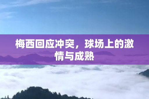 球场上的激情与成熟图片