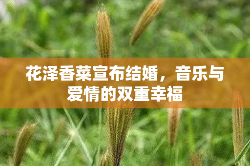 音乐与爱情的双重幸福图片