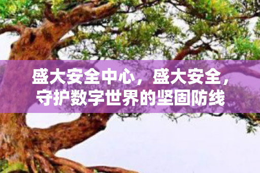 盛大安全中心,盛大安全,守护数字世界的坚固防线 盛大安全中心,盛大安全,守护数字世界的坚固防线