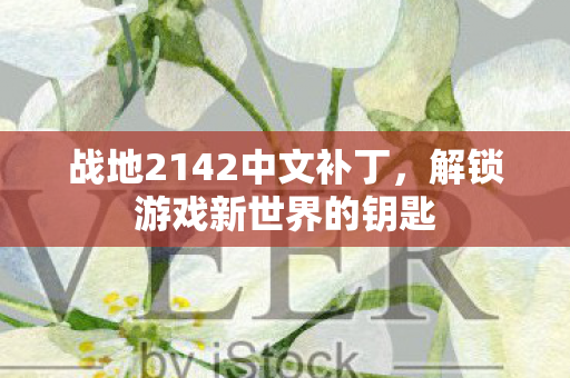 战地2142中文补丁图片