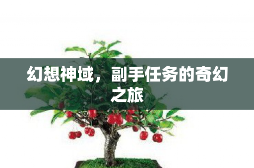 副手任务的奇幻之旅图片