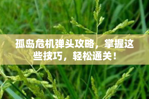 孤岛危机弹头攻略图片