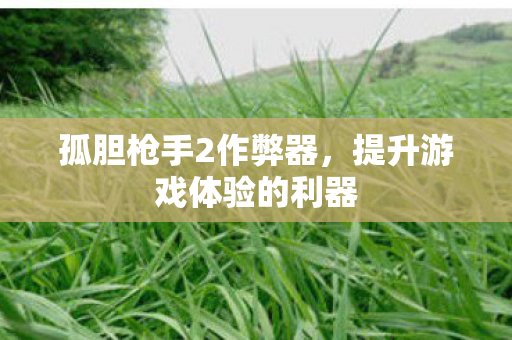 提升游戏体验的利器图片