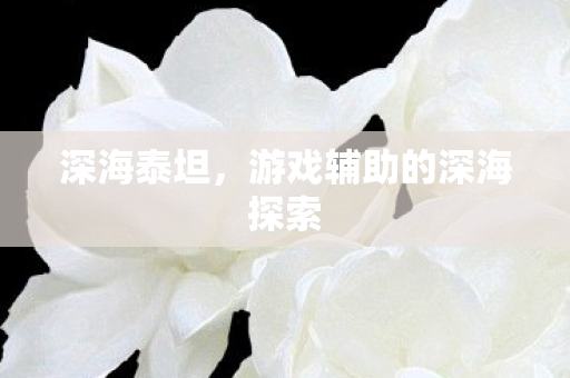游戏辅助的深海探索图片