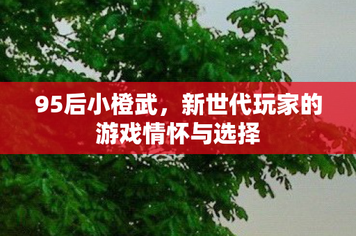 新世代玩家的游戏情怀与选择图片