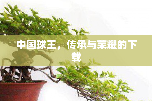 传承与荣耀的下载图片