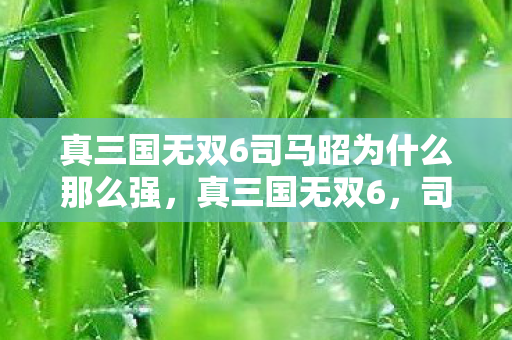 真三国无双6司马昭为什么那么强图片