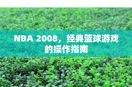经典篮球游戏的操作指南图片